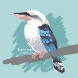 ワライカワセミ