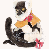 クロシロエリマキキツネザル