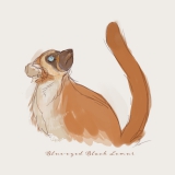 アオメクロキツネザル