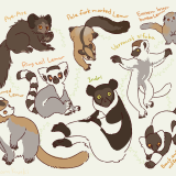 世界キツネザルの日